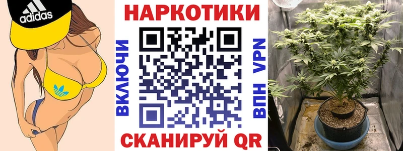 Где купить наркоту Абаза Метадон  Меф мяу мяу  Cocaine  АМФ  Псилоцибиновые грибы 