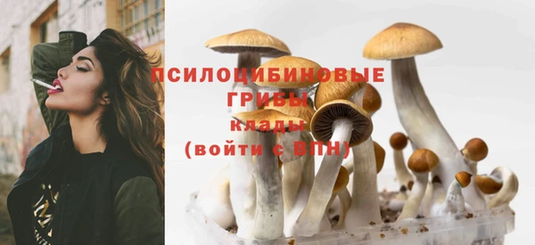 герыч Абаза