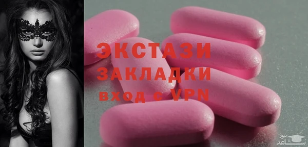 спиды Ельня